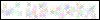 Auth Image